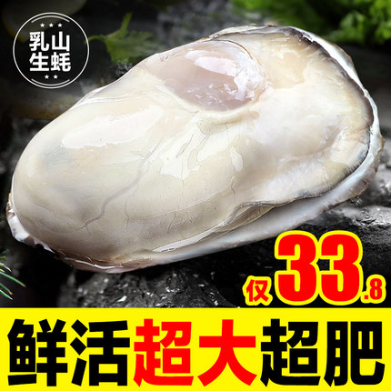 5斤乳山生蚝鲜活新鲜特大海蛎子海鲜牡蛎水产整箱商用批发2箱10斤