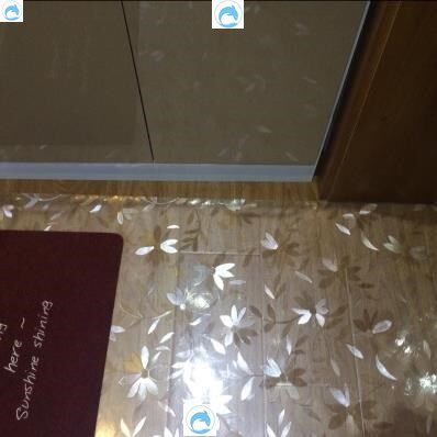 防水木地板垫子厨房塑料免洗门口地垫进门家用可擦 透明客厅耐磨