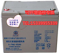湖南丰日蓄电池6-FMJ-65胶体免维护电池12V65AH太阳能发电UPS电源