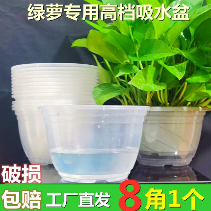 绿萝懒人自动透明吸水盆塑料盆栽花盆托盘客厅水培植物清仓特价