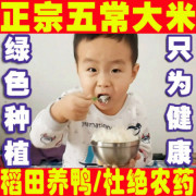 【10斤】新米黑龙江五常正宗农家自产团购特级稻花香大米东北大米