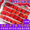 只发重庆四川商用四季新鲜水果糖葫芦草莓蛋糕奶茶店同城6盒包邮