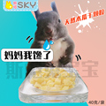 满50包邮木瓜粒干40克兔子爱吃零食龙猫美毛豚鼠维生素仓鼠中国