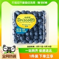 怡颗莓云南蓝莓新鲜水果酸甜口感125g*6/8盒