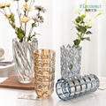 弗莱文茨玻璃花瓶创意欧式插花摆件家用水养百合富贵竹透明