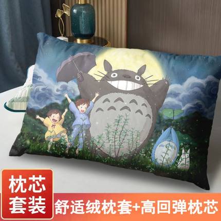 龙猫周边抱枕宫崎骏二次元动漫同款枕头枕芯枕套套装可来图定制