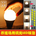 可控硅调光LED暖光灯泡5W7W9W养殖场鸡场鸭舍蛋鸡用led黄光球泡