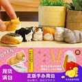 【现货】日本正版TOMY扭蛋箱座姿猫 猫咪抄手小手办桌面收纳盒
