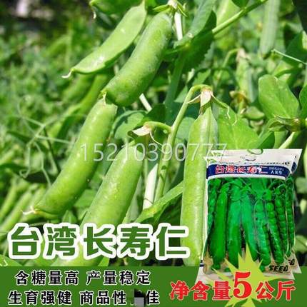 台湾长寿四豆仁甜脆青豌豆种籽MQG散豌豆种籽季子甜装豌豆种蔬菜