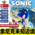 steam 索尼克未知边境  Sonic Frontiers 国区激活码CDKEY 标准版/豪华版 休闲游戏 像素风PC正版中文