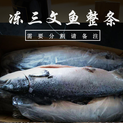 整条冷冻智利三文鱼大西洋鲑鱼6-7公斤 食材寿司需要分割备注