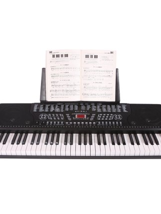新韵331电子琴智能教学仿钢琴键儿童成人初学61键送琴架XY331