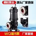 低价供应 00QANWQ110-10-5.5Q污水泵 W Q型W 潜水排1污泵