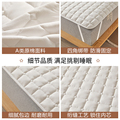 ALEX床垫软垫薄款防滑垫褥家用褥C子床褥机被铺单人保护垫子可垫