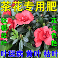 茶花肥料专用肥磷酸二氢钾肥料花卉D专用促开花养花喜酸性植物肥