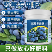 蓝莓肥料专用肥改善黄叶促生长硫酸钾颗粒高氮酸性种植盆栽高钾