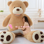 大熊毛绒玩具泰迪熊猫公仔布娃娃1.8毛毛熊2狗熊抱抱熊1.6米女生
