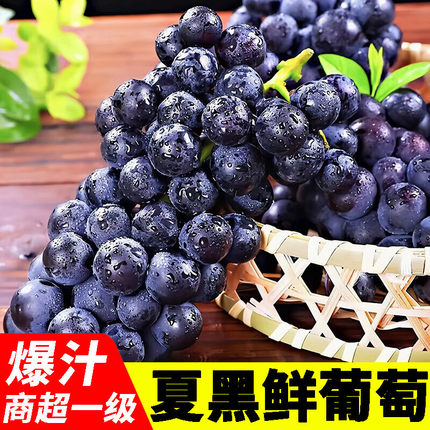 云南夏黑葡萄应季新鲜孕妇水果无籽黑提子黑加仑蓝莓葡萄5斤包邮