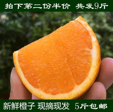 新鲜水果秭归脐橙蜜奈夏橙5斤包邮纽荷尔长红伦晚橙子