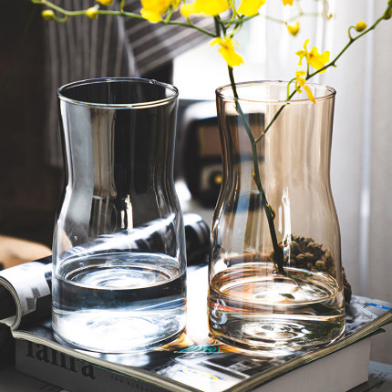 北欧创意ins风透明玻璃小花瓶水培干鲜花插花装饰品客厅家用摆件