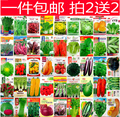 5袋 蔬菜种子四季播阳台农家庭院盆栽辣椒番茄黄瓜韭菜香菜草莓籽