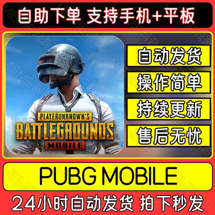 PUBG手游刺激战场 国际服 中文下载吃鸡教程平板游戏