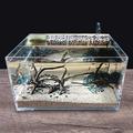 创意生态鱼缸亚克力乌龟缸小型水龟缸客厅水陆造景缸带过滤免换水