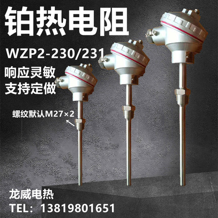 WZP2-230/WZP2-231/双支PT100铂热电阻传感器/固定螺纹热电偶定做