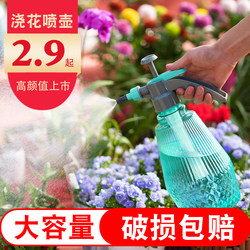 喷壶浇花浇水喷雾器气压式喷水壶消毒专用家用园艺养花压力洒水壶
