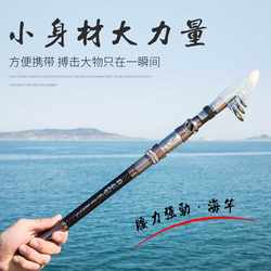 新款新品超硬短节海竿日本进口碳素长节海钓鱼竿远投抛竿单杆