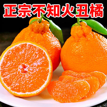 正宗四川不知火丑橘10斤新鲜水果当季耙耙橘子丑八怪柑桔子包邮5