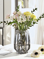 北欧轻奢玻璃花瓶透明客厅插花百合富贵竹水养玫瑰鲜花瓶餐桌摆件