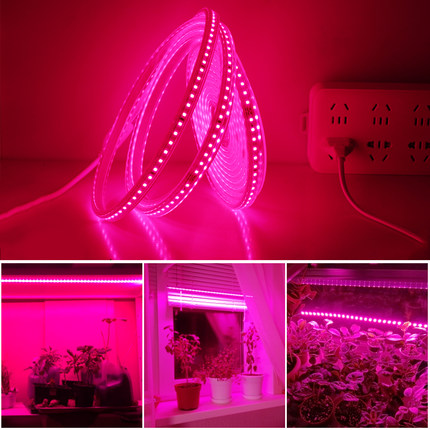220V全光谱led植物生长灯带大棚多肉果蔬补光上色防徒长防水灯条