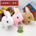 兔+毛绒+玩具