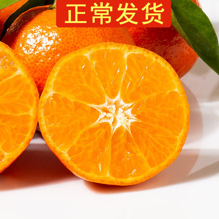 【正常发】10斤砂糖橘小橘子沙糖桔子蜜桔柑橘四会南丰临海涌泉