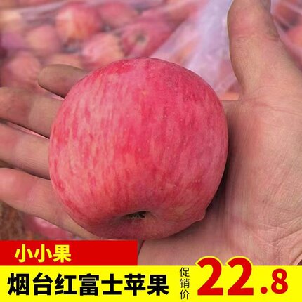烟台栖霞红富士苹果70mm左右小小果专拍链接新鲜水果脆甜多汁迷你