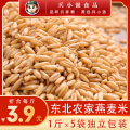拍2份发5斤东北农家燕麦米2斤新米粗粮生筱麦雀麦裸燕麦仁胚芽米