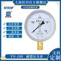 上海仪川仪表 耐震防震抗震压力表YN100 充油表 气压油压水压真空