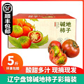 盘锦碱地柿子5斤草莓西红柿新鲜自然熟铁皮柿子生吃番茄顺丰包邮