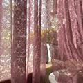 新款田园窗帘韩式透光紫粉色蕾丝成品窗帘窗纱床幔门帘阳台飘窗帘