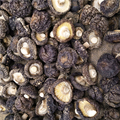 新货西峡250g/500g黑面菇油面菇农家土特产黑香菇无根野生菌干货