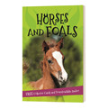 英文原版 It's all about... Horses and Foals 关于马与驹 关于动物系列 儿童百科科普读物 英文版 进口英语原版书籍