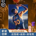 数字油画diy填色画NBA球星勇士库里周边篮球手绘礼物手工画油彩画