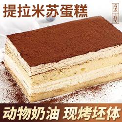 【冷链包邮】食味熊提拉米苏慕斯蛋糕动物奶油原味零食甜品350g/