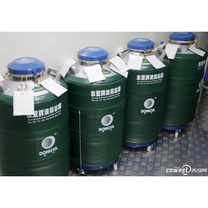 新款东亚液氮罐YDS-3 6 10 15 20 30 35 50升容器畜牧科研医院学