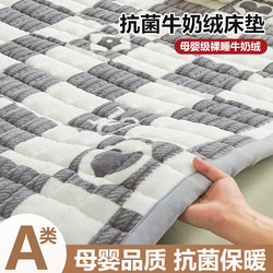 秋冬季毛毯床垫软垫家用加厚保暖牛奶绒床上防滑床褥垫被褥子铺底