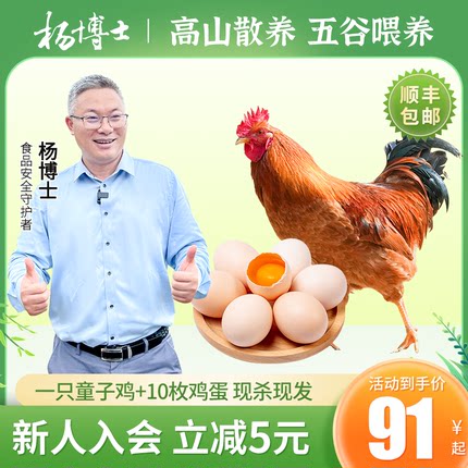 杨博士皖南高山农家散养土鸡童子鸡小公鸡盐焗鸡新鲜现杀整只