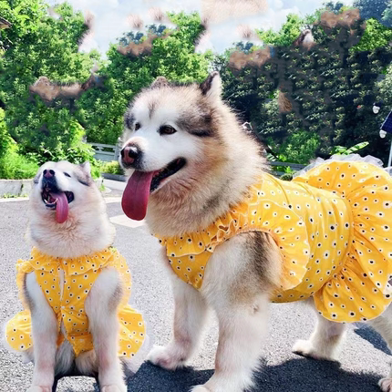 狗狗衣服夏季公主风金毛萨摩耶阿拉斯加大型犬狗狗裙子薄款衣夏装