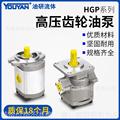 HGP-1A-F1R-X-2B-10高压齿轮泵2A 3 4 5 6 9 12液压11油泵F8R 4BJ