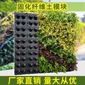 室内外植物墙种植盒斜坡边坡垂直立体绿化固化纤维土垒土模块花盆